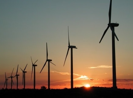 field of wind generators