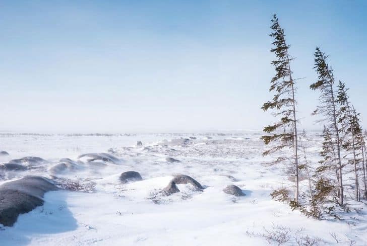 coldest-tundra-biome.jpg