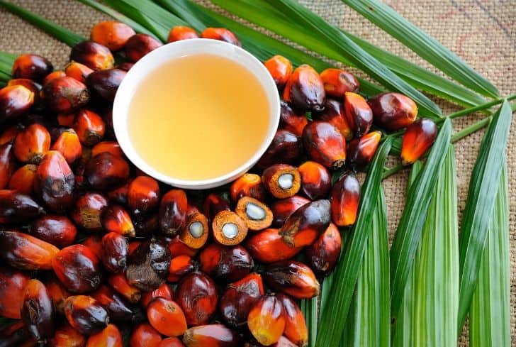 Is Palm Oil One of the Healthy Oils to Consume?
