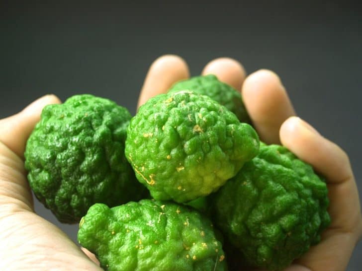 6 Reasons Why You Should Use Bergamot Essential Oil