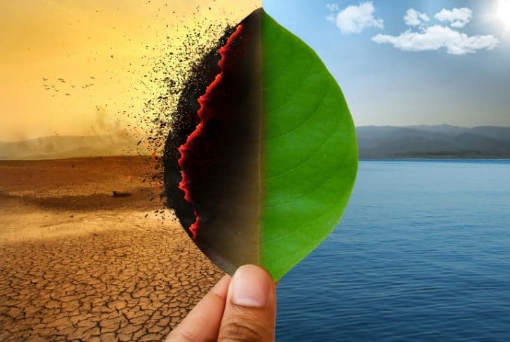 50 Mind Blowing Facts About Climate Change Conserve Energy Future