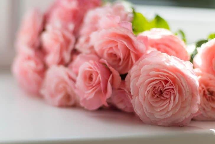 Artificial Rose Open Flower Bouquet Faux Rose Stems For - Temu