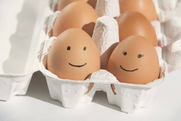 are-egg-cartons-recyclable-and-uses-of-old-egg-cartons-conserve