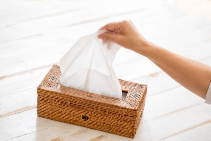 Is Tissue Paper Recyclable? (And Is It Compostable?) - Conserve Energy  Future