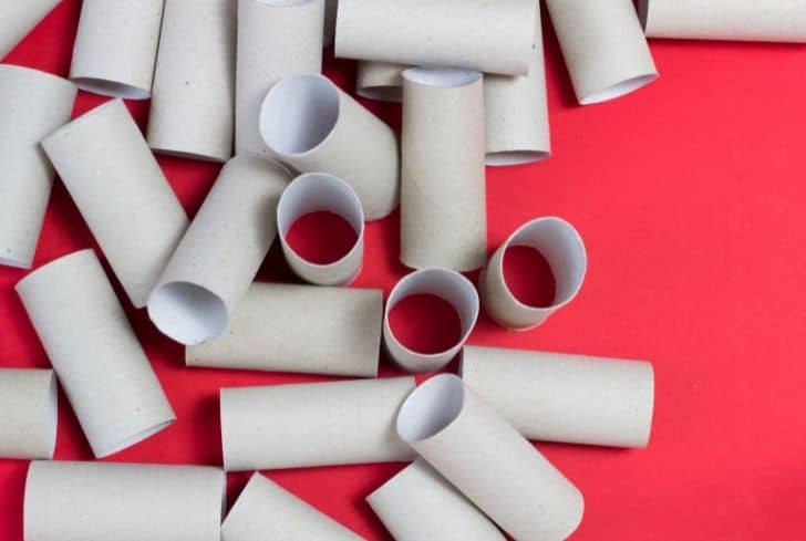 Toilet Paper Tube Boats - we know stuff