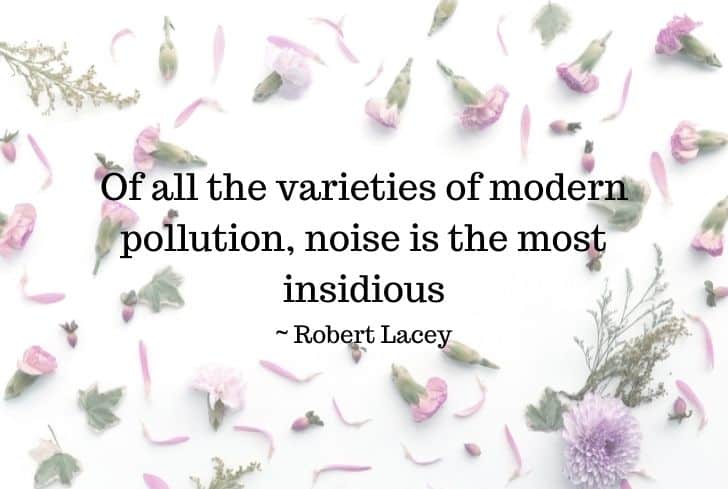 stop noise pollution quotes