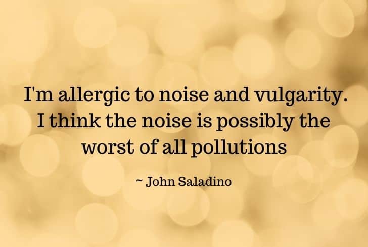 stop noise pollution quotes