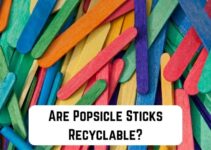 Are Popsicle Sticks Recyclable? (Find Out)