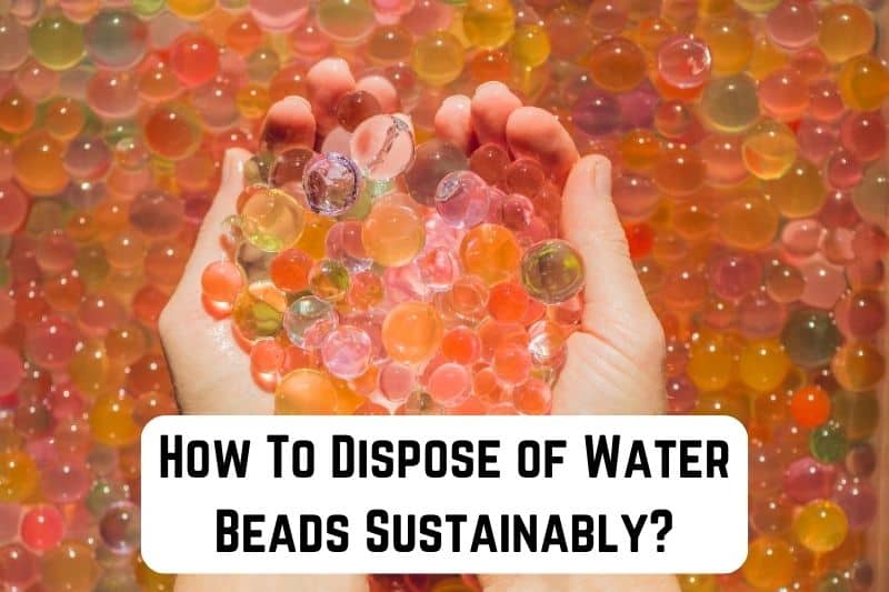 Water Beads - What You Need to Know – Tiny Hearts